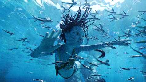 Avatar: Way of the Water 4D Review