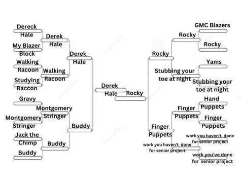 Emmas Bracket Picks